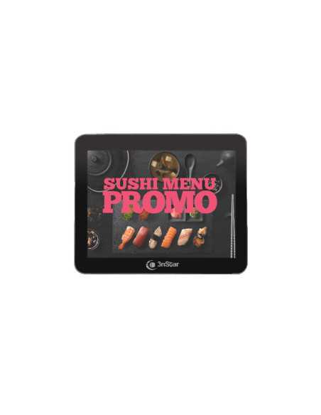 PANTALLA LED 3NSTAR 9.7" DISPLAY 1024X768
