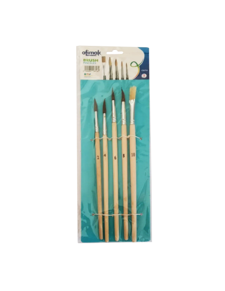 PINCEL DE 5 PZS TAMANOS VARIOS