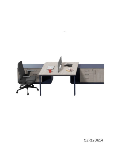 ESTACION DE TRABAJO LIVENO 2 POSICIONES CON GABINETE DE 3 GAVETAS 1 PUERTA 1.4 X 2.4 X1.05 MTS