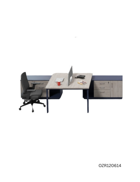 ESTACION DE TRABAJO LIVENO 2 POSICIONES CON GABINETE DE 3 GAVETAS 1 PUERTA 1.4 X 2.4 X1.05 MTS